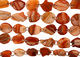 See the Shapes & Pattern