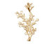 Ezel Findings Gold (plated) Coral Reef Link 43x27mm