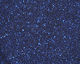 Terra Blue Microfine Opaque Glitter 1/4 oz.