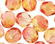 Czech Fire Polished Glass Dual Coated Fuschia/Lemon Round 6mm