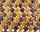 Tiger Eye (multi) Puff Coin 18mm