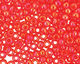 TOHO Transparent Rainbow Light Siam Ruby Round 11/0 Seed Bead