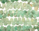 Chrysoprase Flat Teardrop 10-15x11-19mm