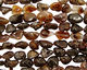 Mexican Fire Agate Tumbled Nuggets 15-26x13-20mm
