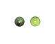 C-Koop Enameled Metal Lime Chip 3-4x12-13mm
