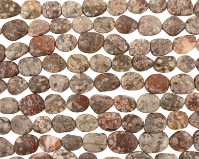 Ocean Fossil Flat Polished Pebble 17-22x14-18mm