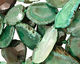 Green Agate Natural Edge Freeform Faceted Slab 41-52x18-38mm