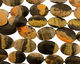 Mexican Sunflower Agate Flat Oval (med) 28-39x20-26mm