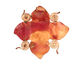 Patricia Healey Copper Flower Face Pendant 51mm