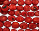 Coral Oval Nugget 20-30x18-25mm