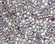 TOHO Rainbow Light Sapphire (with Gold Lining) Round 11/0 Seed Bead