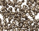 Golden Pyrite (silver tone) Teardrop 7x12mm