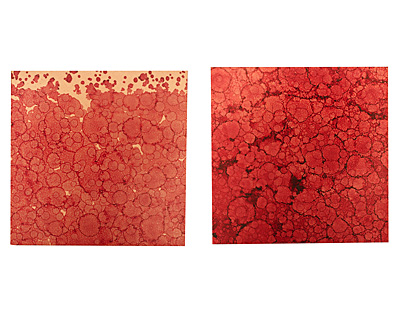 Lillypilly Red Wine Patina Copper Sheet 3