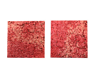 Lillypilly Red Wine Flower Garden Patina Copper Sheet 3