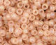 TOHO Transparent Rainbow Frosted Rosaline Round 11/0 Seed Bead