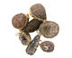 Oco Geode Pendant Set in Gold (plated) 20-27x33-45mm