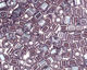 TOHO Transparent Lustered Sugar Plum Hex 11/0 Seed Bead