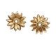 Brass Layered Daisy 14mm