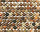 Red Forest Agate Round 8mm