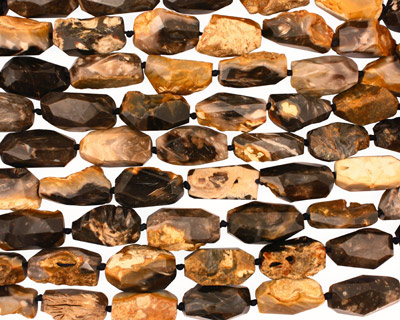 Black Petrified Wood Faceted Freeform Nugget 28-38x16-24mm
