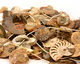 Ammonite Sliced Fossil Drops 27-38x26-40mm