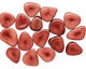 Tagua Nut Rhubarb Banana Chip 22-29x16-22mm