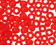TOHO Transparent Siam Ruby Round 8/0 Seed Bead