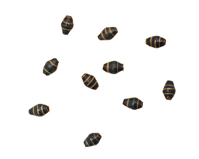 African Paper (teal, navy, beige) Rice 9-10x6mm
