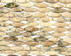 African Opal 4-Sided Rice 30x10mm