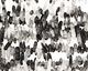 Tourmilated Quartz Stick 4-7x14-25mm