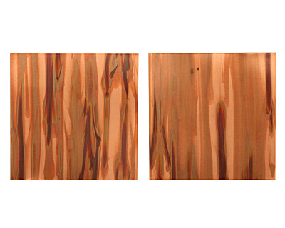 Lillypilly Enchantment Patina Copper Sheet 3