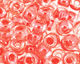 TOHO Crystal (with Tomato Lining) Round 6/0 Seed Bead