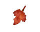 Patricia Healey Copper Small Maple Leaf Charm 17x25mm