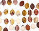 Mookaite Horse Eye Drop 13x18mm