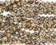 Dalmatian Jasper Round 8mm