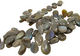 Labradorite Flat Freeform Drop 12-19x15-30mm