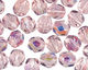 Czech Fire Polished Glass Light Amethyst AB Round 4mm