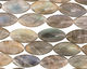 Labradorite Horse Eye 30x15mm