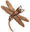 Stampt Antique Copper (plated) Soaring Dragonfly 46x35mm