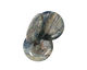 Kyanite (in resin) Coin Pendant 40mm