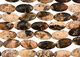 Red Silver Leaf Flat Oval 40x20mm
