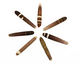Spined Urchin 10-11x65-83mm