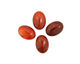 Carnelian Oval Cabochon 18x25mm