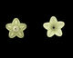 View Top & Bottom