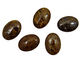 Bronzite Oval Cabochon 18x25mm