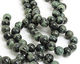 Kambaba Jasper Round 14mm