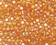 TOHO Transparent Rainbow Frosted Dark Topaz Round 11/0 Seed Bead