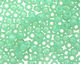 More Detail