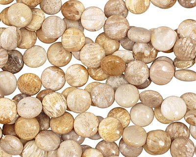 Fossil Coral Puff Coin 12mm