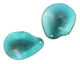 Tagua Nut Turquoise Potato Chip 30-37x37-47mm